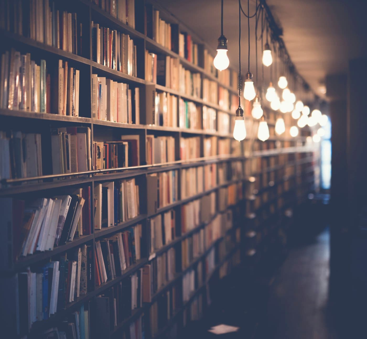 Bücherregal mit Fachliteratur